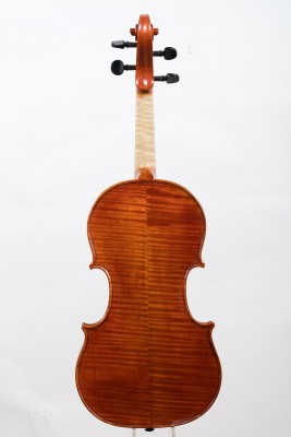 Carlo Chiesa violino fondo..jpg