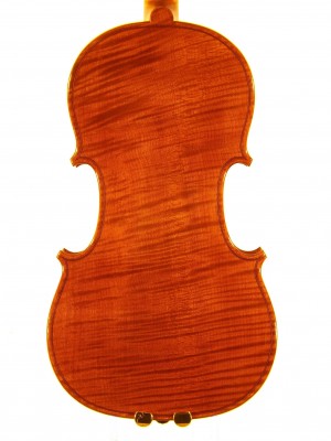 Daniela Solcà violino 2014 fondo.jpg