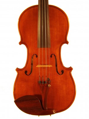 Daniela Solcà violino 2014.jpg