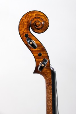 Francesco Bissolotti 2014 testa lw.jpg