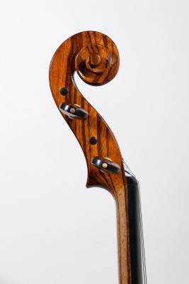 Francesco Bissolotti viola 2014 z testa.jpg