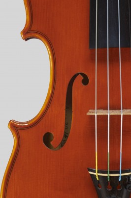 Marco Vinicio Bissolotti 2014 dettagli Camilli.jpg