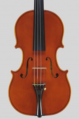 Marco Vinicio Bissolotti 2014 Camilli.jpg