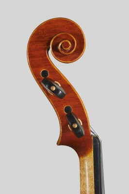 Marco Vinicio Bissolotti 2014 testa Camilli.jpg