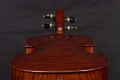 Dario Michielon violino 2014.jpg