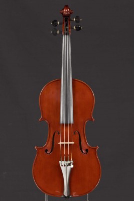 Dario Michielon violino tavola 2014.jpg