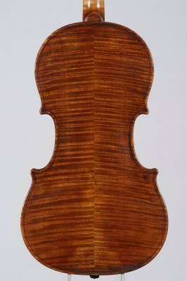 Barbara Piccinotti violino fondo.jpg