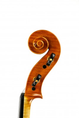 Viola Ricciardi testa.jpg