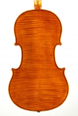 Viola Ricciardi fondo.jpg