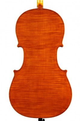 Lorenzo Cassi violoncello 2016 fondo.jpg