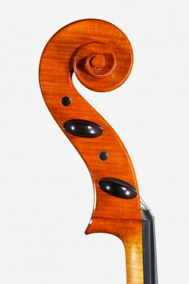 Lorenzo Cassi 2016 violoncello testa.jpg