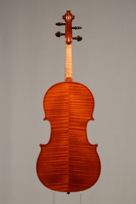 Davide Sora Viola 2015 intero fondo.jpg