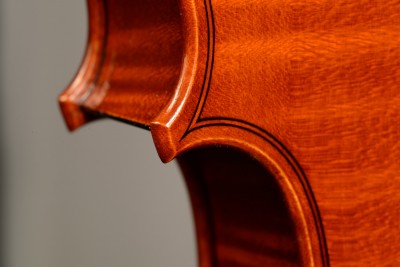 Davide Sora Viola 2015 punta.jpg