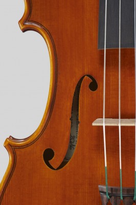 Alessando Camilletti dettagli 2016.jpg