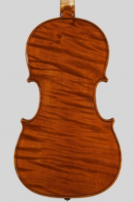 Alessandro Camilletti viola fondo.jpg