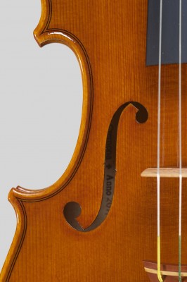 Pistoni 1716 dettagli..jpg