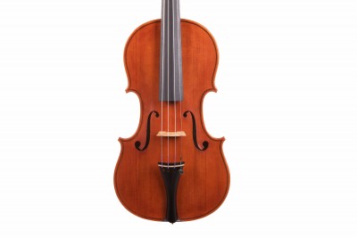 Andrea Cabrini violino tavola..jpg