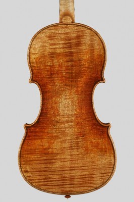 Alessandro Camilletti violino fondo.jpg