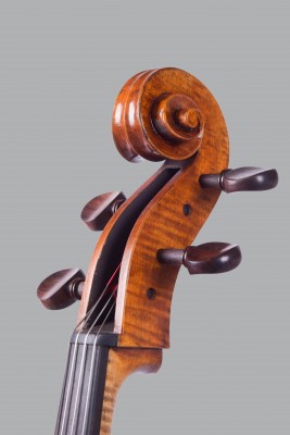 Lucas Fabro testa cello.jpeg