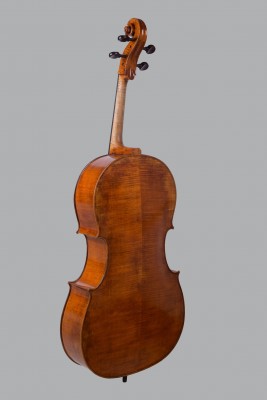 Lucas Fabro cello fondo 1.jpeg