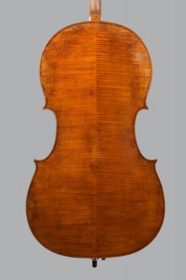 Lucas Fabro fondo cello 1.jpeg