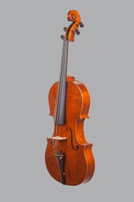 Lucas Fabro viola  2.jpeg