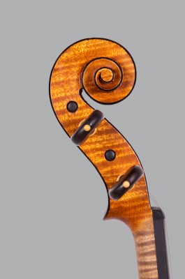 Lucas Fabro violino testa.jpeg