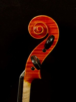 Riccardo Bergonzi testa .jpeg