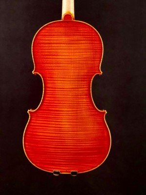 Riccardo Bergonzi  fondo.jpeg