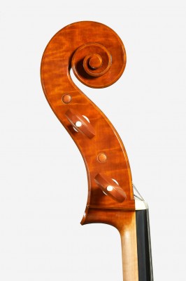 testa cello pero Lorenzo Cassi.jpg