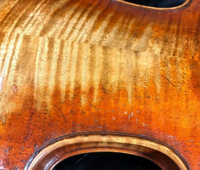 Camilletti violino 7.jpeg