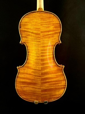 Riccardo Bergonzi violino.jpg