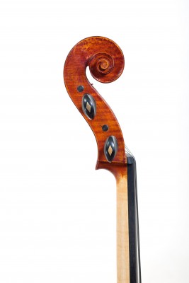 Philippe Devanneaux violoncello Tecchler testa..jpg
