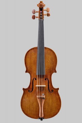violino in platano tavola...jpg
