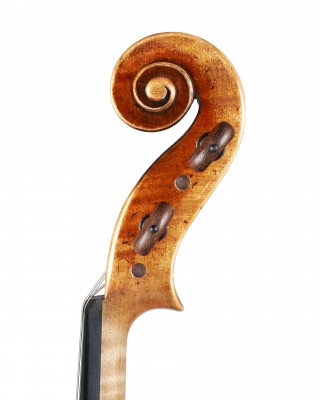 Viola A. Camilletti testa .jpg