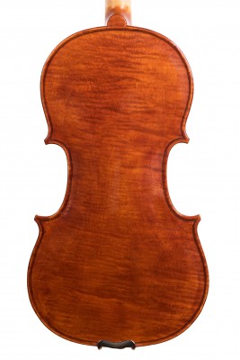 Paolo Genzini violino fondo.jpg