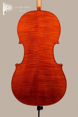 Davide Sora Cello 2025 fondo..jpg