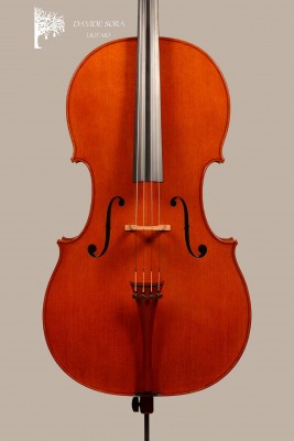 Davide Sora Cello 2025 tavola ..jpg