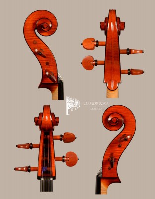 Davide Sora Cello 2025 Teste ..jpg