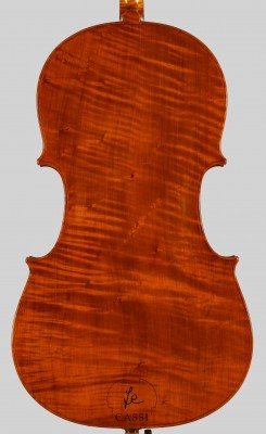 cello Guadagnini 71cm - fondo..jpg