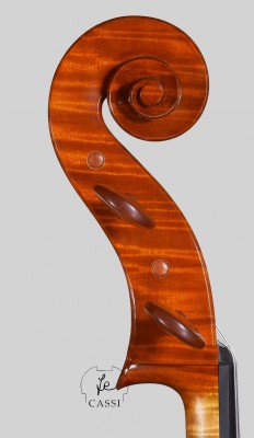 cello Guadagnini 71cm - testa..jpg
