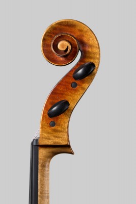 cello Camilletti testa .jpg