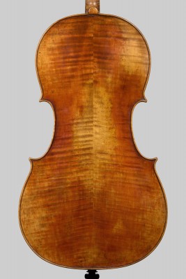Cello Camilletti fondo 2026.jpg