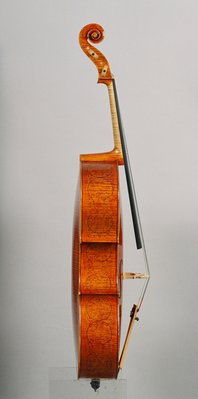 cello giordano 1.jpg