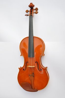 Viola Fiora 020.jpg
