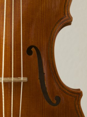 18_Violino.jpg