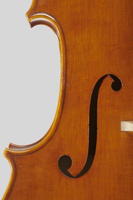 Pistoni cello dettagli.jpg