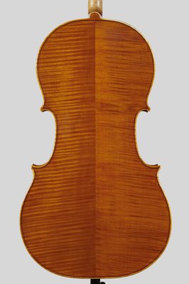 Pistoni cello fondo.jpg