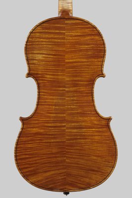 Viola%20Andrea%20Guarneri.jpg