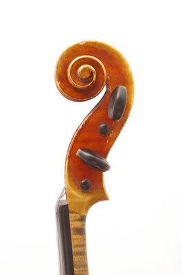 gazich violino testa.JPG